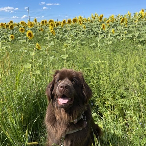 Fundraising Page: Olivia Wethington